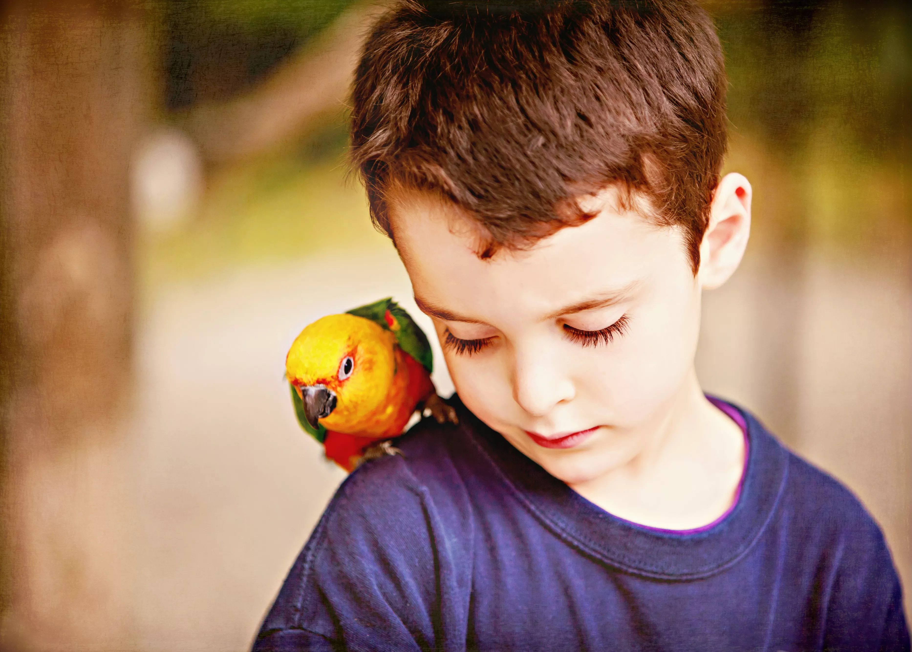 Boy with colorful parrot