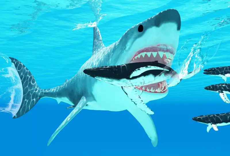 Why Sharks Are the Ocean’s Most Feared Predator